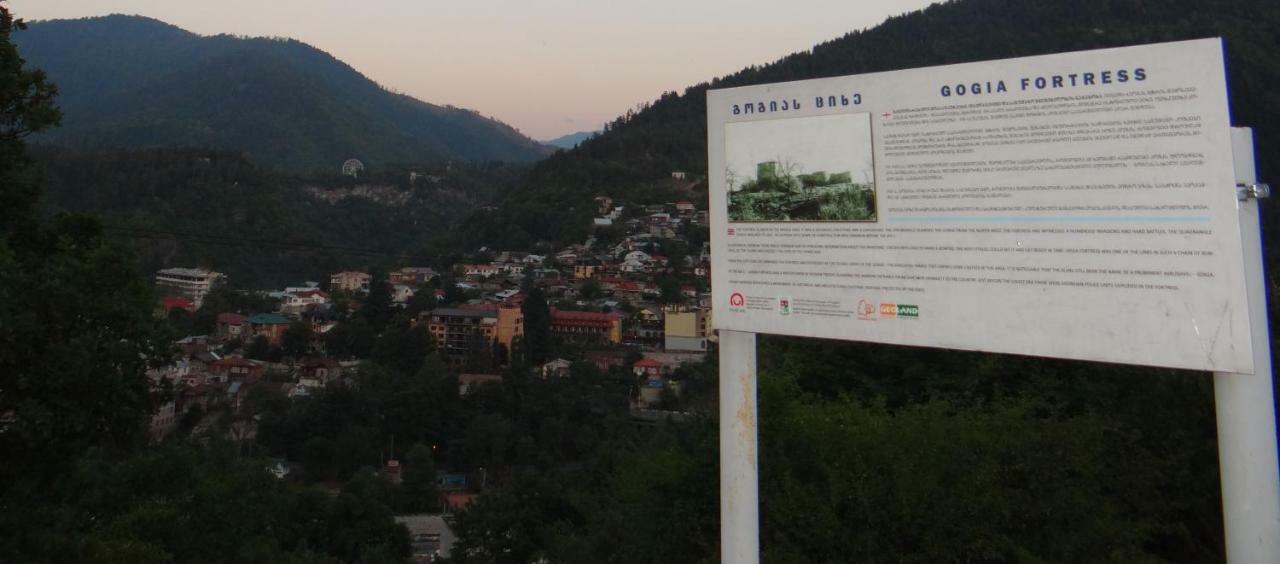 Hotel Dalko Bordschomi Exterior foto